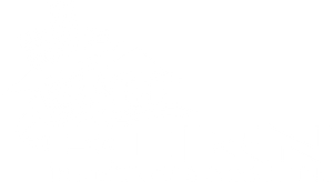 Born Inspections & Consulting Born Inspections & Consulting