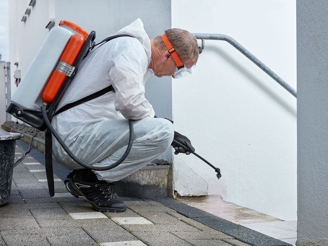 Professional property inspection in Anniston, AL