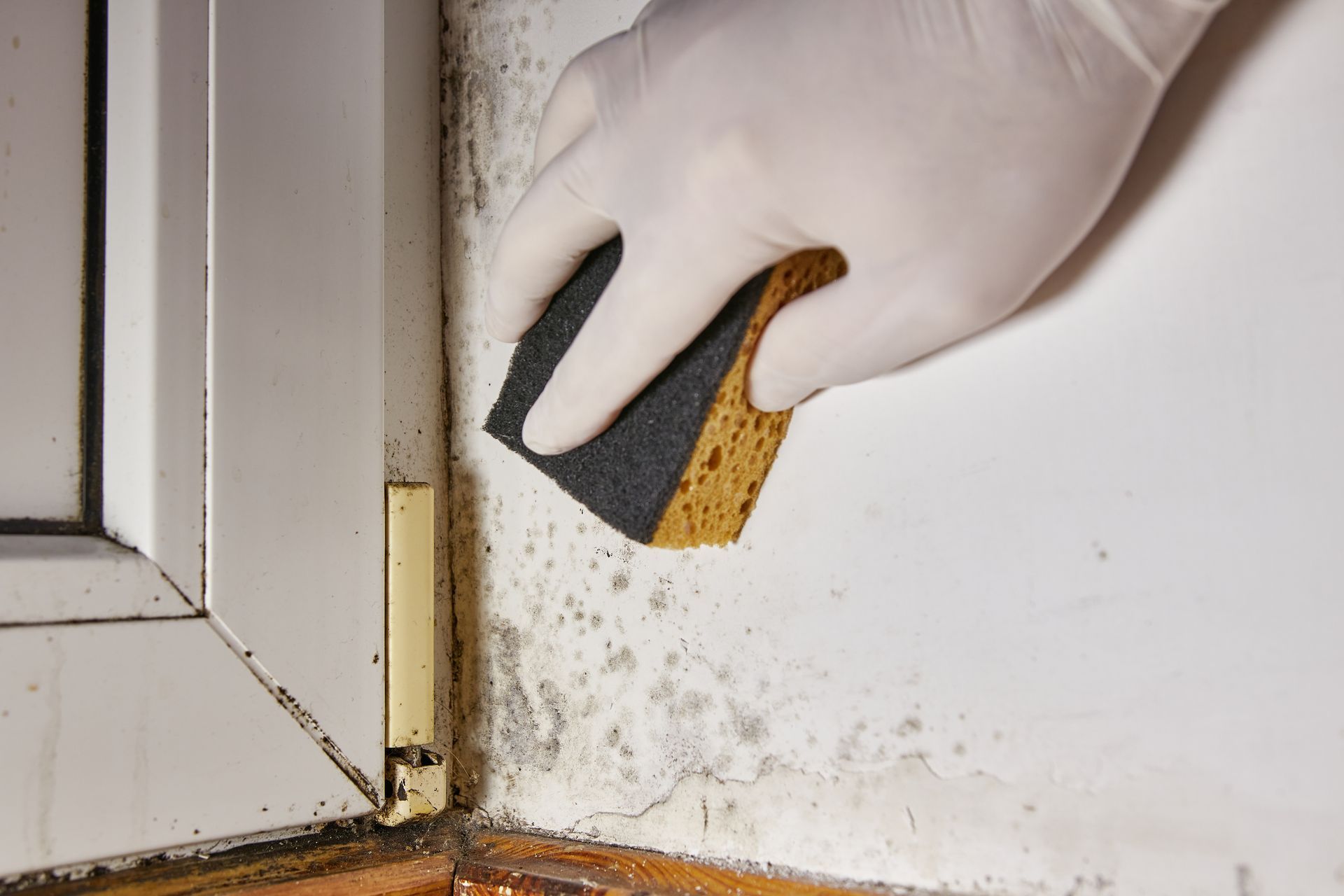 Professional home inspections in Anniston, AL